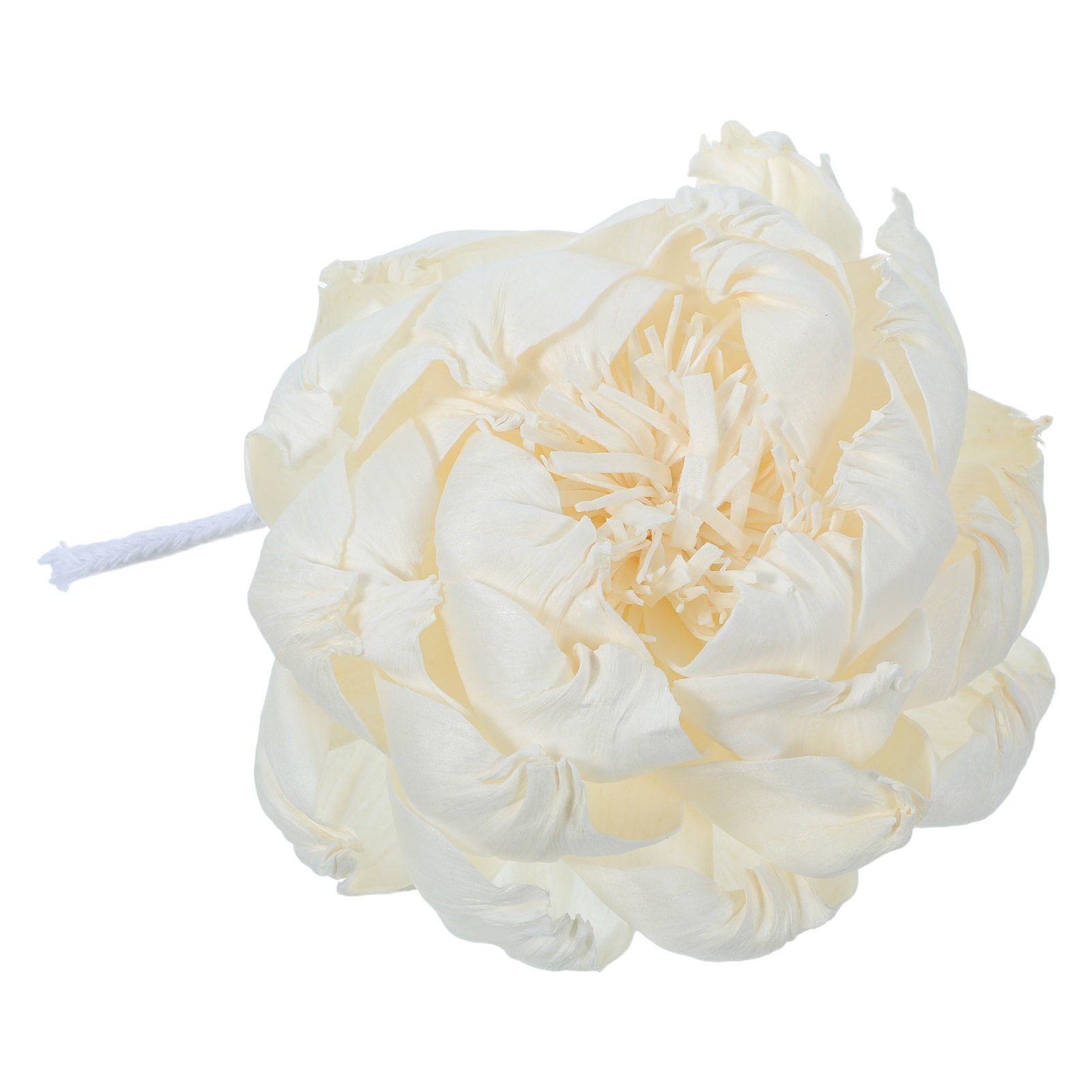 Dyfuzor zapachowy z głową piwo – Home Fragrance Diffusers recenzja i cena